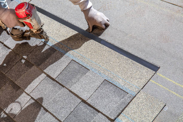 Best Metal Roofing Contractor  in Erie, CO